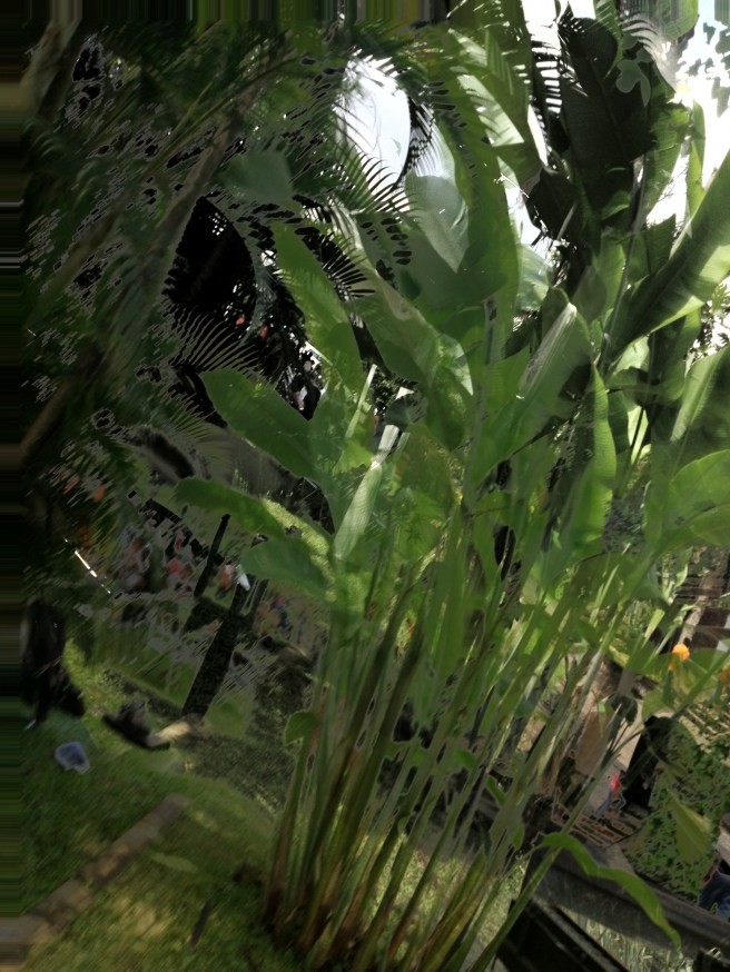 2012-04-14 11.23.12 HDR